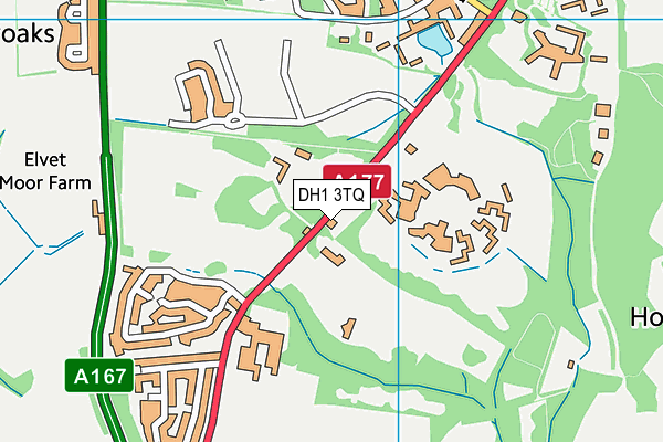 DH1 3TQ map - OS VectorMap District (Ordnance Survey) DH1 3TQ map - OS VectorMap District (Ordnance Survey)