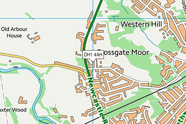 DH1 4AH map - OS VectorMap District (Ordnance Survey)