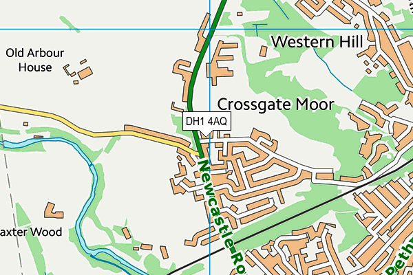 DH1 4AQ map - OS VectorMap District (Ordnance Survey) DH1 4AQ map - OS VectorMap District (Ordnance Survey)