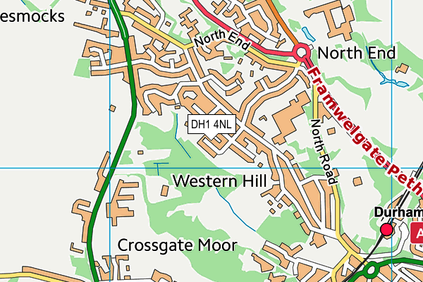 DH1 4NL map - OS VectorMap District (Ordnance Survey) DH1 4NL map - OS VectorMap District (Ordnance Survey)
