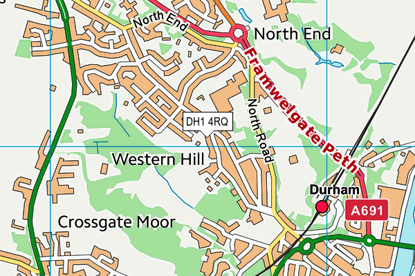 DH1 4RQ map - OS VectorMap District (Ordnance Survey)