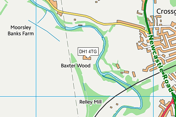 DH1 4TG map - OS VectorMap District (Ordnance Survey) DH1 4TG map - OS VectorMap District (Ordnance Survey)