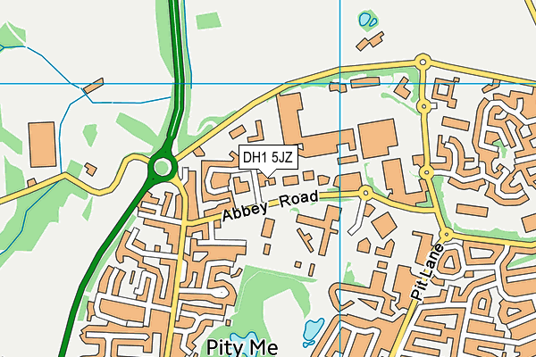 DH1 5JZ map - OS VectorMap District (Ordnance Survey) DH1 5JZ map - OS VectorMap District (Ordnance Survey)