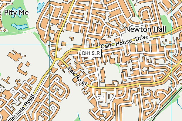 DH1 5LR map - OS VectorMap District (Ordnance Survey) DH1 5LR map - OS VectorMap District (Ordnance Survey)
