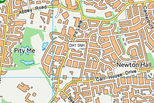 DH1 5NH map - OS VectorMap District (Ordnance Survey) DH1 5NH map - OS VectorMap District (Ordnance Survey)