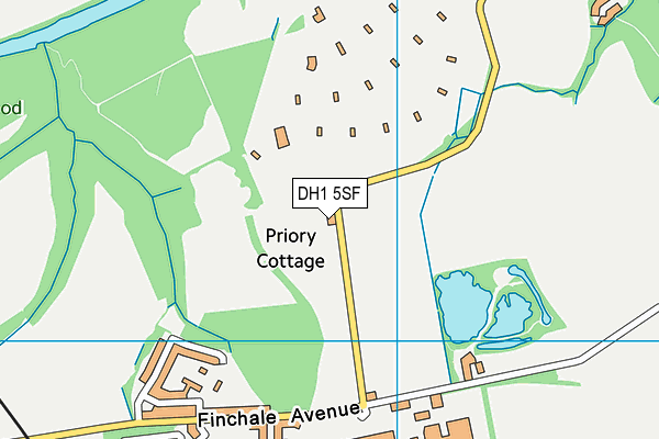 DH1 5SF map - OS VectorMap District (Ordnance Survey) DH1 5SF map - OS VectorMap District (Ordnance Survey)