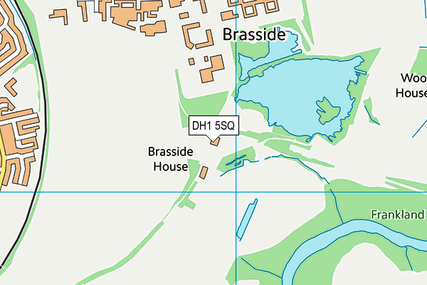 DH1 5SQ map - OS VectorMap District (Ordnance Survey)