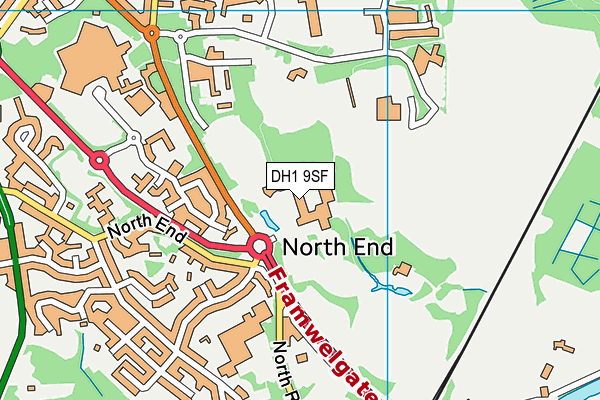 DH1 9SF map - OS VectorMap District (Ordnance Survey) DH1 9SF map - OS VectorMap District (Ordnance Survey)