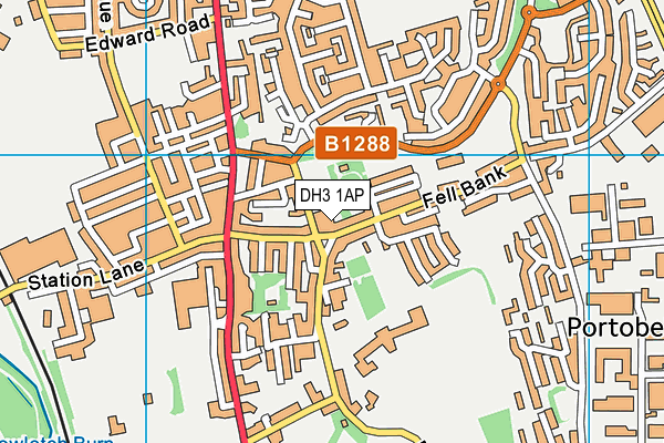 DH3 1AP map - OS VectorMap District (Ordnance Survey)