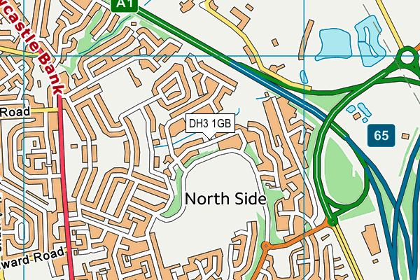 DH3 1GB map - OS VectorMap District (Ordnance Survey)