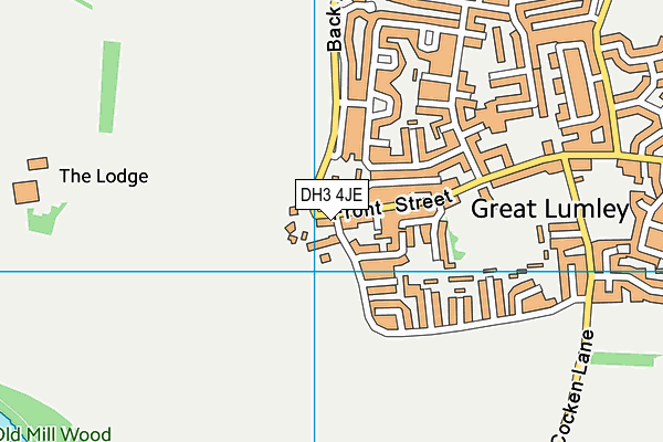 DH3 4JE map - OS VectorMap District (Ordnance Survey)