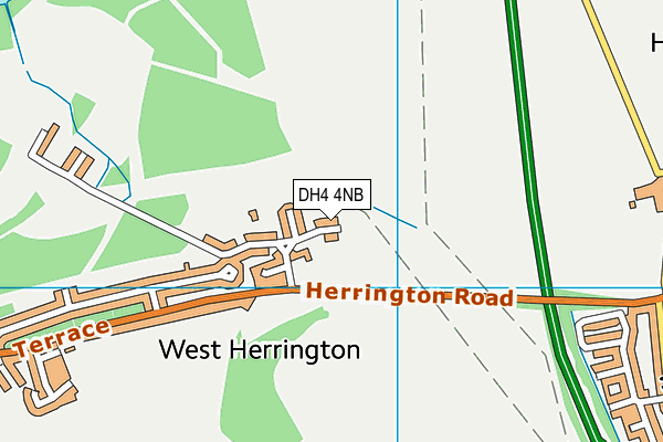 DH4 4NB map - OS VectorMap District (Ordnance Survey) DH4 4NB map - OS VectorMap District (Ordnance Survey)