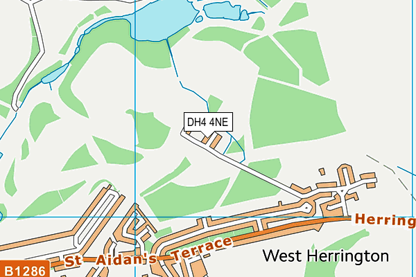 DH4 4NE map - OS VectorMap District (Ordnance Survey) DH4 4NE map - OS VectorMap District (Ordnance Survey)