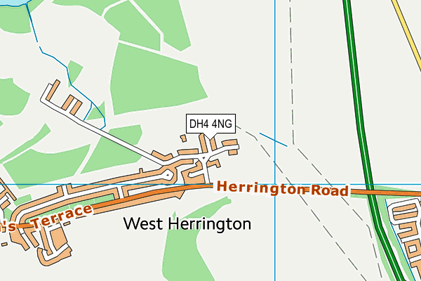 DH4 4NG map - OS VectorMap District (Ordnance Survey) DH4 4NG map - OS VectorMap District (Ordnance Survey)