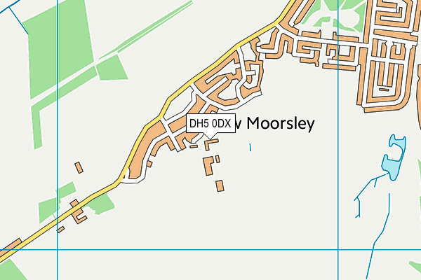 DH5 0DX map - OS VectorMap District (Ordnance Survey) DH5 0DX map - OS VectorMap District (Ordnance Survey)