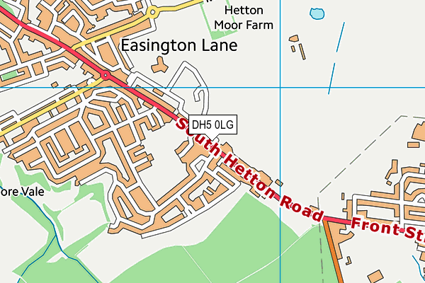 DH5 0LG map - OS VectorMap District (Ordnance Survey) DH5 0LG map - OS VectorMap District (Ordnance Survey)