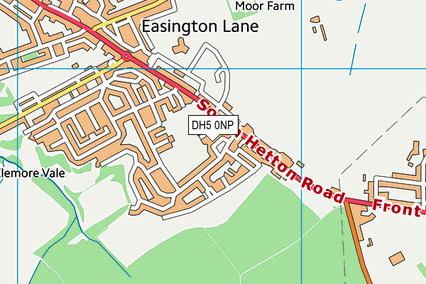 DH5 0NP map - OS VectorMap District (Ordnance Survey) DH5 0NP map - OS VectorMap District (Ordnance Survey)