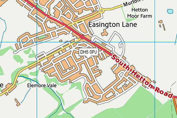 DH5 0PJ map - OS VectorMap District (Ordnance Survey) DH5 0PJ map - OS VectorMap District (Ordnance Survey)