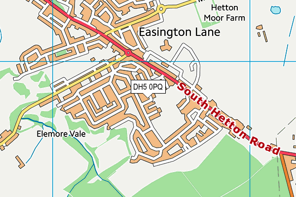 DH5 0PQ map - OS VectorMap District (Ordnance Survey) DH5 0PQ map - OS VectorMap District (Ordnance Survey)