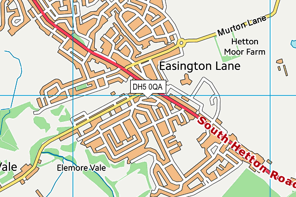 DH5 0QA map - OS VectorMap District (Ordnance Survey) DH5 0QA map - OS VectorMap District (Ordnance Survey)
