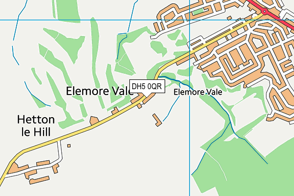 DH5 0QR map - OS VectorMap District (Ordnance Survey) DH5 0QR map - OS VectorMap District (Ordnance Survey)