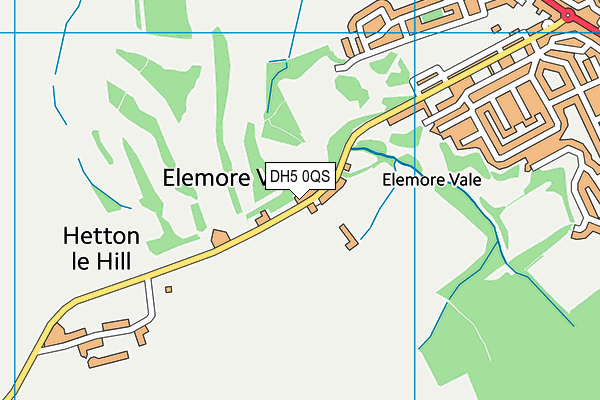 DH5 0QS map - OS VectorMap District (Ordnance Survey) DH5 0QS map - OS VectorMap District (Ordnance Survey)