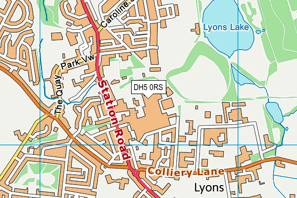 DH5 0RS map - OS VectorMap District (Ordnance Survey) DH5 0RS map - OS VectorMap District (Ordnance Survey)