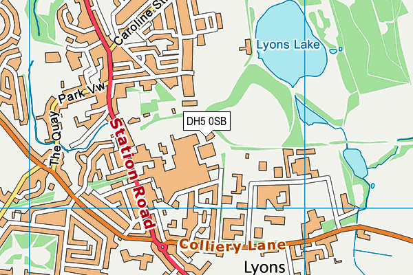 DH5 0SB map - OS VectorMap District (Ordnance Survey) DH5 0SB map - OS VectorMap District (Ordnance Survey)
