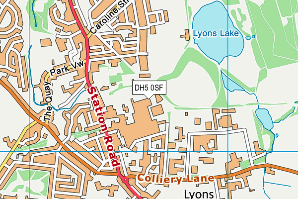 DH5 0SF map - OS VectorMap District (Ordnance Survey) DH5 0SF map - OS VectorMap District (Ordnance Survey)
