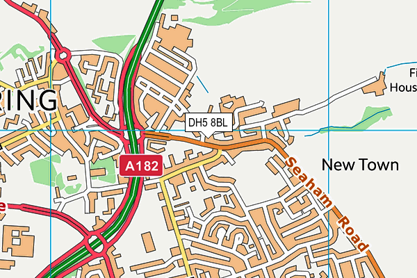 DH5 8BL map - OS VectorMap District (Ordnance Survey) DH5 8BL map - OS VectorMap District (Ordnance Survey)