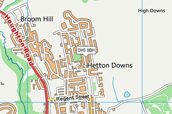 DH5 9BH map - OS VectorMap District (Ordnance Survey) DH5 9BH map - OS VectorMap District (Ordnance Survey)