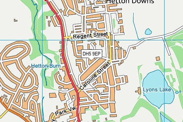 DH5 9EP map - OS VectorMap District (Ordnance Survey) DH5 9EP map - OS VectorMap District (Ordnance Survey)