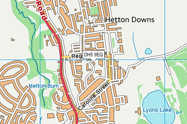 DH5 9EQ map - OS VectorMap District (Ordnance Survey) DH5 9EQ map - OS VectorMap District (Ordnance Survey)