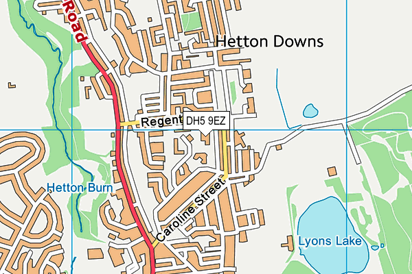 DH5 9EZ map - OS VectorMap District (Ordnance Survey) DH5 9EZ map - OS VectorMap District (Ordnance Survey)