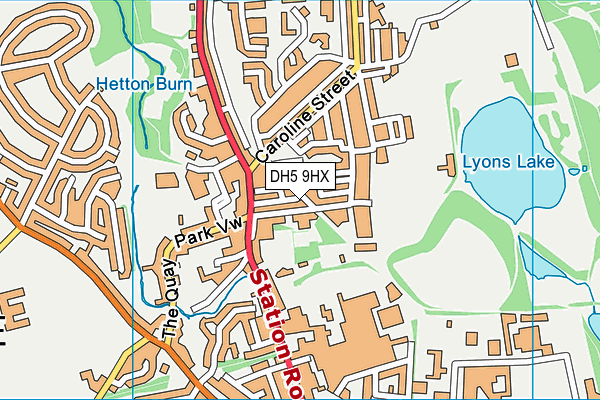 DH5 9HX map - OS VectorMap District (Ordnance Survey) DH5 9HX map - OS VectorMap District (Ordnance Survey)