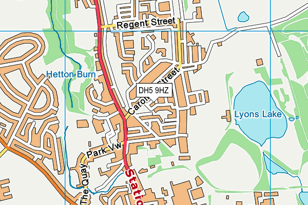 DH5 9HZ map - OS VectorMap District (Ordnance Survey) DH5 9HZ map - OS VectorMap District (Ordnance Survey)
