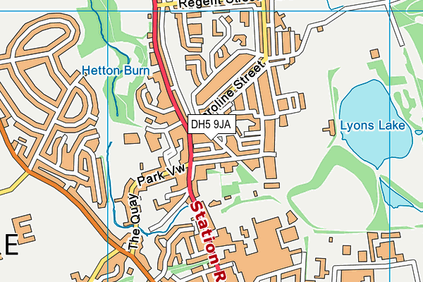 DH5 9JA map - OS VectorMap District (Ordnance Survey) DH5 9JA map - OS VectorMap District (Ordnance Survey)