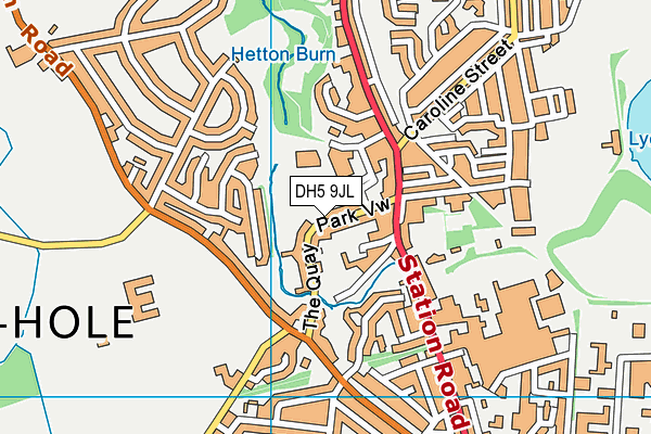 DH5 9JL map - OS VectorMap District (Ordnance Survey)