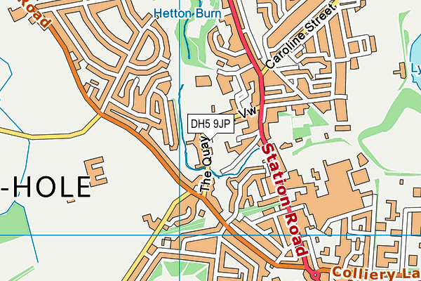 DH5 9JP map - OS VectorMap District (Ordnance Survey)