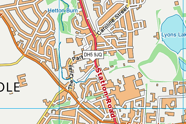 DH5 9JQ map - OS VectorMap District (Ordnance Survey) DH5 9JQ map - OS VectorMap District (Ordnance Survey)