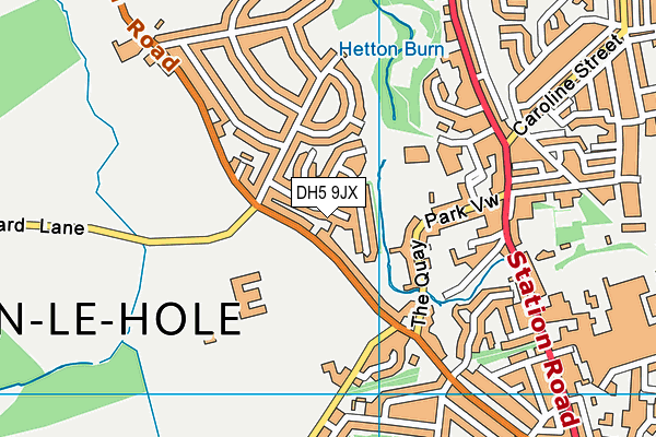 DH5 9JX map - OS VectorMap District (Ordnance Survey) DH5 9JX map - OS VectorMap District (Ordnance Survey)