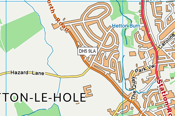 DH5 9LA map - OS VectorMap District (Ordnance Survey) DH5 9LA map - OS VectorMap District (Ordnance Survey)