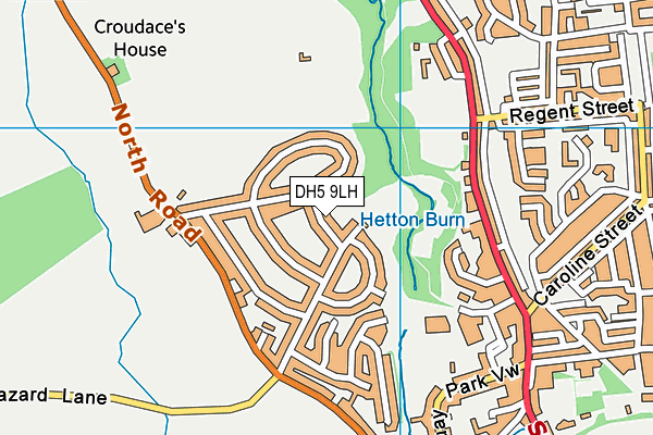 DH5 9LH map - OS VectorMap District (Ordnance Survey) DH5 9LH map - OS VectorMap District (Ordnance Survey)