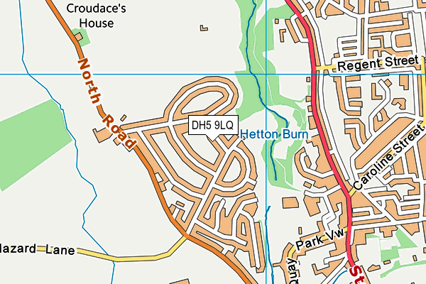 DH5 9LQ map - OS VectorMap District (Ordnance Survey) DH5 9LQ map - OS VectorMap District (Ordnance Survey)