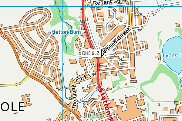DH5 9LZ map - OS VectorMap District (Ordnance Survey)