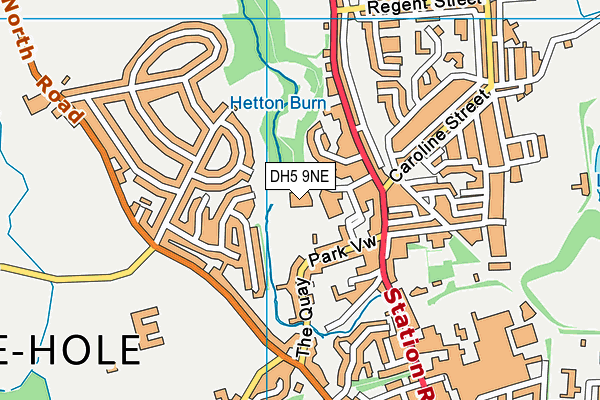 DH5 9NE map - OS VectorMap District (Ordnance Survey) DH5 9NE map - OS VectorMap District (Ordnance Survey)