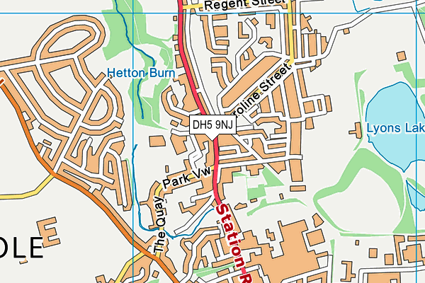 DH5 9NJ map - OS VectorMap District (Ordnance Survey) DH5 9NJ map - OS VectorMap District (Ordnance Survey)