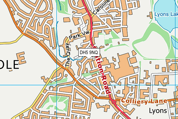 DH5 9NQ map - OS VectorMap District (Ordnance Survey)