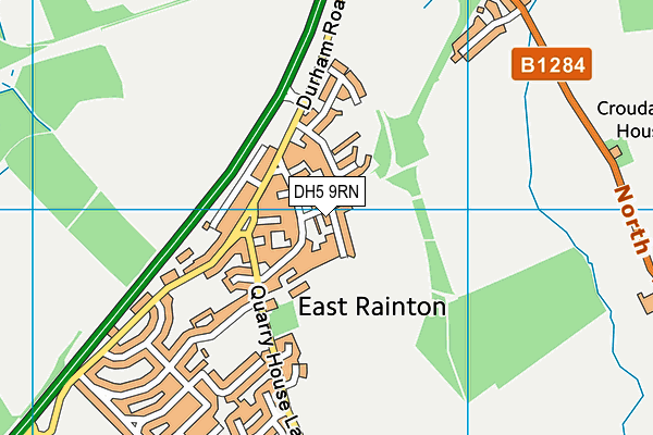 DH5 9RN map - OS VectorMap District (Ordnance Survey) DH5 9RN map - OS VectorMap District (Ordnance Survey)