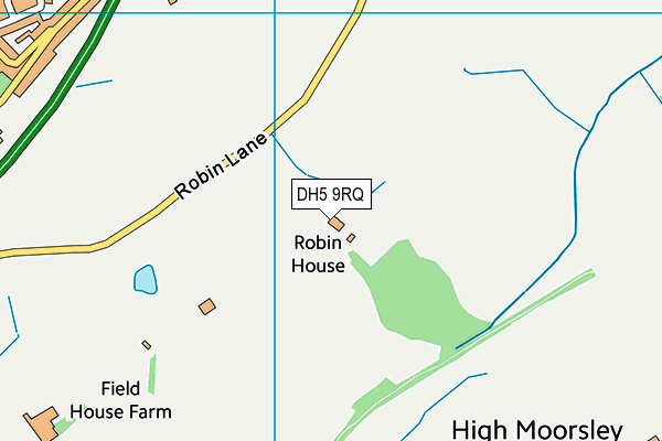 DH5 9RQ map - OS VectorMap District (Ordnance Survey) DH5 9RQ map - OS VectorMap District (Ordnance Survey)